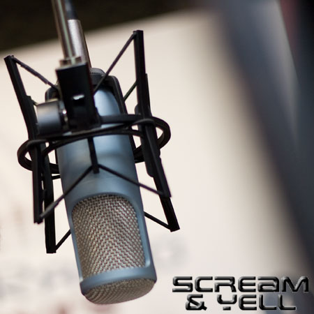 scream_2010.jpg