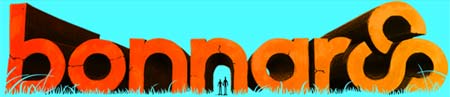 bonaroo.jpg