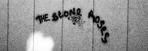 stoneroses.jpg stoneroses.jpg